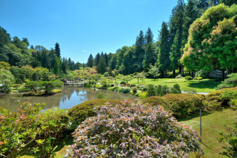 Washington Park Arboretum, United States